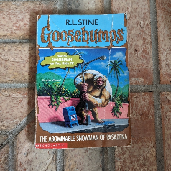 Goosebumps Book Lot - R.L. Stine - scholastic - retro - good used condition - Picture 8 of 15